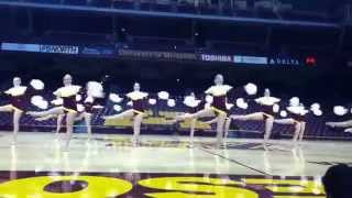 2011 University of Minnesota Pom