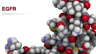 How Lung Cancer Drug Treatment Gilotrif (Afatinib) Works