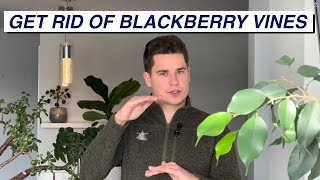 Permanently Remove Blackberry Vines