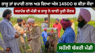 ਰਾਜੂ ਤਾਂ ਵਪਾਰੀ ਨਾਲ ਅੜ ਗਿਆ ਅੱਜ 14500 ਚ ਕੀਤਾ ਸੌਦਾ || Saholi bakri Mandi