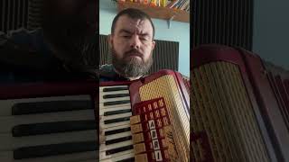 Gożka wódka #skordeon #muzyka #music #accordion #biesiada #audio #granie #waves #avidprotools