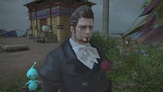 FINAL FANTASY XIV Patch 6.55 Cutscenes: Hildibrand Hijinks The Finale Part 1