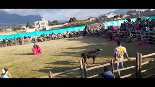 toros en barrio san José Cotacachi