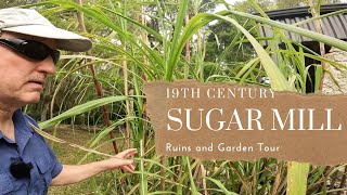 Dunlawton Sugar Mill | Mill Ruins & Garden Tour | Things to do | Daytona Beach