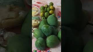 mango and mix dessert #viral#shortvideo#travelangels vlog