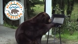 Bear 2 Help Remodeling Services