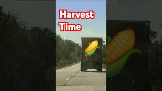 Farm Truck has Corn Husks Flying on Iowa Highway