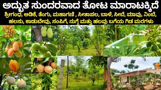 FULLY DEVELOPED FARMLAND WITH FARMHOUSE SALE NEAR NELAMANGALA KENGERI BENGALURU, CHARAN 7338474634