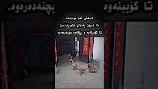 چەند بەڕێزن بێ پرس ناچنە ژوورەوە  😂😂#كوميديا_مضحكة #كوميدية #viral #tiktok #fyp