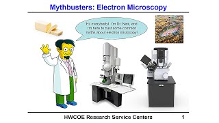 Busting 7 common electron microscopy-related myths