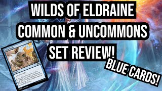 Wilds of Eldraine Common + Uncommon Set Review! | Blue |Limited Level-Ups|