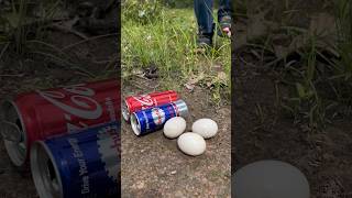 Bushcraft Skills🥫🥚#outdoorskills #camping #survival #lifehacks #short