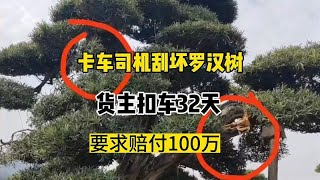 长沙货车司机碰断两根树枝要赔100万，保险赔七万扣车32天不让走