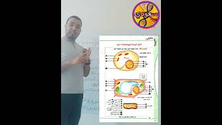 الحصة رقم 3، الموجهة لتلاميذ:   مدرسة النخبة (بني سليمان) * مدرسة الإدريسي (تابلاط)