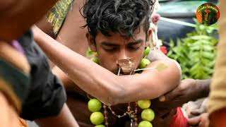 பரவ காவடி | கற்பூர சட்டி | Kaavadi | Sri Muthumariamman Temple Matale  | Gowri Amman | Hindu Temples