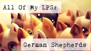 ♥ All Of My LPS: German Shepherds ♥