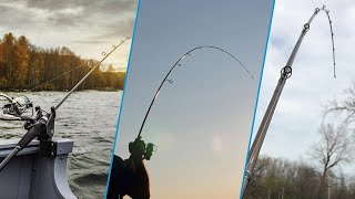 Top 10 Walleye Jigging Rod in 2024 (Top Picks)