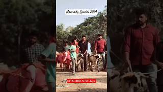 Mannady DILU Bhai | BAKRID 2024 | Sold-out | Chennai | #goat #sheep #chennai #india #shorts  #reels