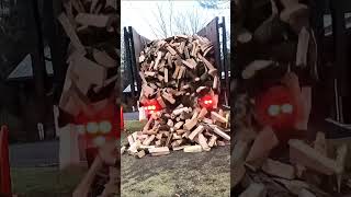 MASSIVE 6 CORD FIREWOOD DELIVERY! #SHORTS #FIREWOOD