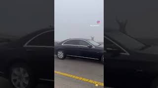 Hazard lights are not useful in fog