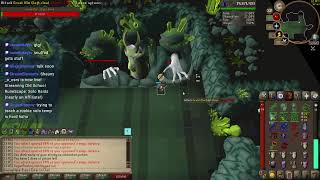 Solo Raids (nearly an Affiliate!)