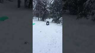 Sledding 4