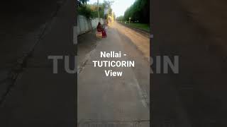 NELLAI - TUTICORIN VIEW | SHORTS |