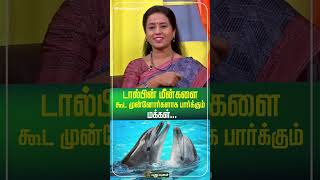 டால்பின் மீன்களை கூட முன்னோர்களாக பார்க்கும் மக்கள்... | Kutty Srory | Puthugai Bharathi