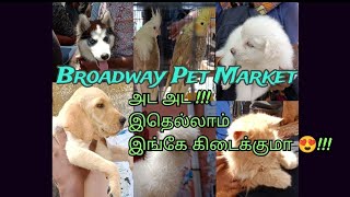 Broadway Pet Market | அட அட !! இதெல்லாம் இங்கே கிடைக்குமா !! Sunday Pet Market Mannady..