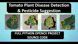 Tomato Plant Disease Classification Pesticide Suggestion Using Python In Image Processing