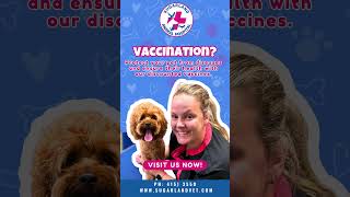 How important is the vaccination to your pet's well-being? Visit www.sugarlandvet.com now!