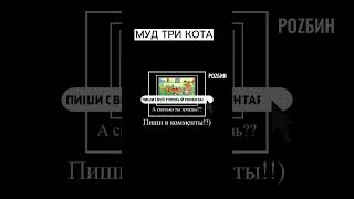 МУД ТРИ КОТА #мемы