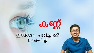 eye biology kerala psc | kerala psc prelims class biology | eye previous psc questions | eye psc