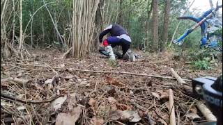 pierced tube in the woods