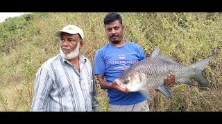 Catla / katla fish 11 kgs | Hyderabad Fishing | Ramadugu Canal | Srsp Canal