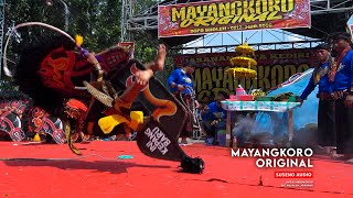 Kepang Salto!! Jaranan Mayangkoro Original Terbaru 2024 Kedungrejo Jombang