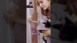 Девушка спасла истощенного котенка#животные #animals #факты #shorts