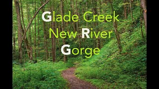 Glade Creek Trail, New River Gorge West Virginia