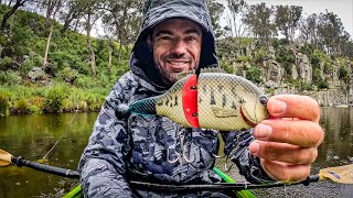 Murray Cod fishing, season opener!