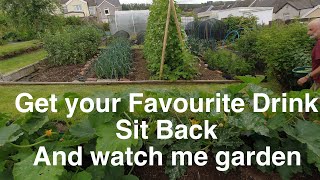 Full on Vegetable growing | Allotments For Fun and Food