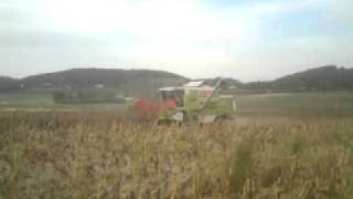 Tracteurmasseyferguson - Moisson Tournesol / Sunflower Harvest 2011 - Claas DOMINATOR 98 VX