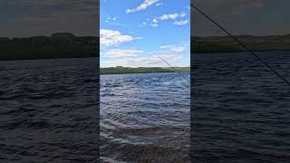 Ловим форель на озере #рыбалка #fishing #fish