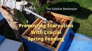 Beekeeping: Preventing Starvation with Crucial spring feeding.