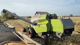 Żniwa kukurydzy 2024 ! Plon 14 ton ! Claas Tucano 440 John Deere 7720 w transporcie ! Engine Sound !