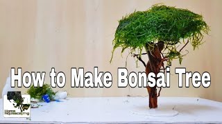 HOW TO Make Bonsai Tree for Aquarium |Membuat Aquascape|水草造景