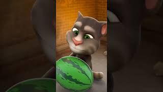 My Talking Tom Android wonderful and amazing gameplay video 3558