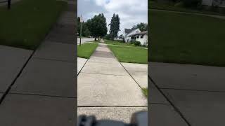 Bike pov #shortvideo #dog #cat #doge