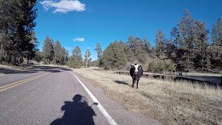 Rural Riding Hazards: Slips, Dips & Debris (New Mexico)