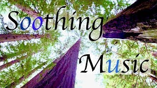 Soothing Music For Stress Relief - Sleep Music - Background Music For Sleep, Study, Work