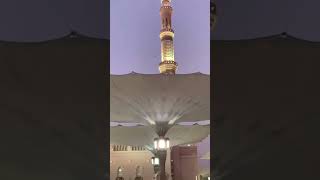 Maghrib Prayer at Masjid Al Nabawi | Umbrella Beautiful View #saudiarabia 🇸🇦 #madina #viral #shots